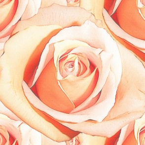 Romantic Roses ~ Pale ~ Medium