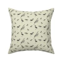 Hand-Drawn Ink Birds on Pastel Green background 8 inch