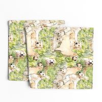 Golden Retrievers In The Grass fabric