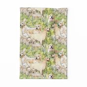 Golden Retrievers In The Grass fabric