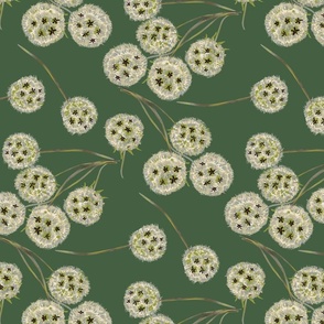 Dandelion Wishes - Basil Green background