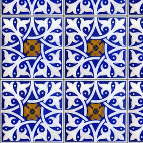 Blue and White Tile