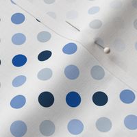 pois_moyen_multi_bleu_S