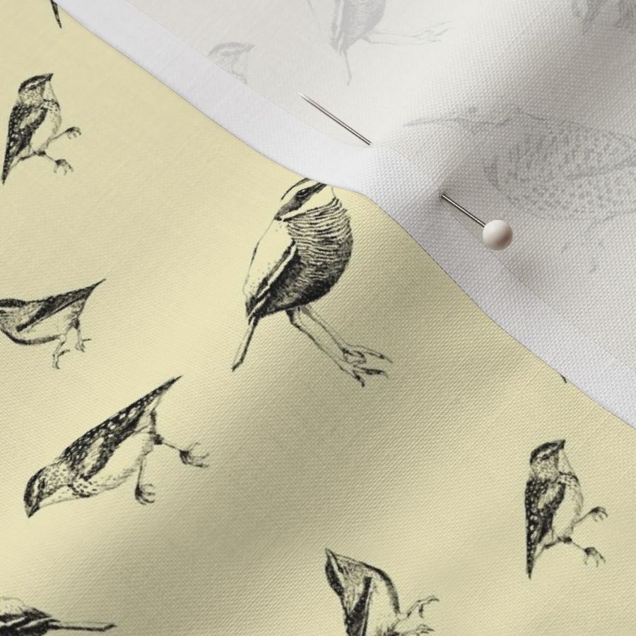 Hand-Drawn Ink Birds on Pastel Yellow background 8-Inch pattern Tile