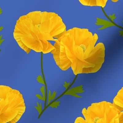 Floating Oriental Golden Blooms - azure sky / cornflower blue