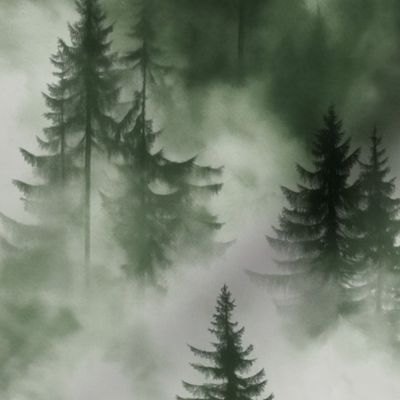 Misty Pine Trees in Desaturated Forest Green and Gray Medium