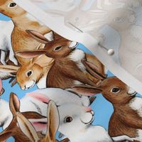 Bunnies Galore 