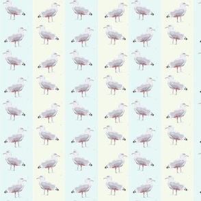 seagull_bg1