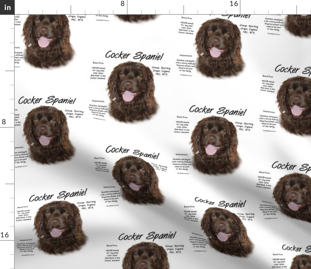 History Of Brown Cocker Spaniel