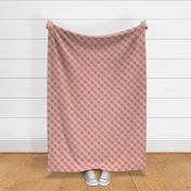 dotty_argyle_neopolitan