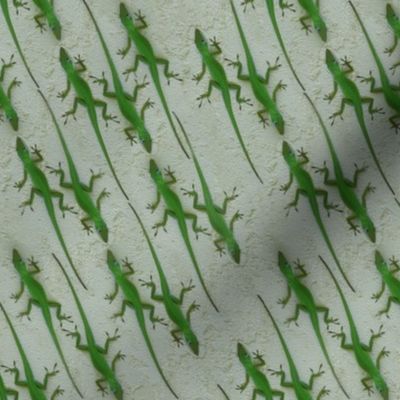 Green Lizard Lizards