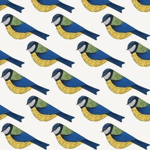 blue tit