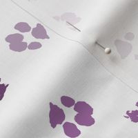 Paws Purple Multi SMALL