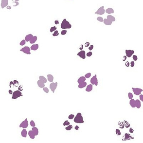 Paws Purple Multi SMALL