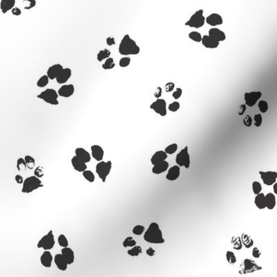 Paws Black and White SMALL