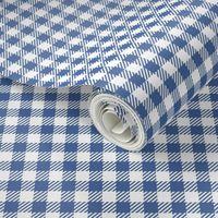 Gingham Classic Coastal Blue