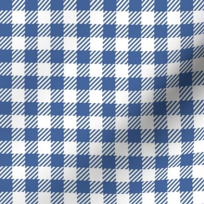 Gingham Classic Coastal Blue