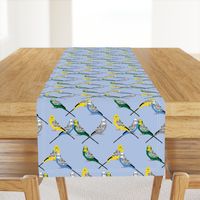 Parakeets Looking at You - Multi/Blue 