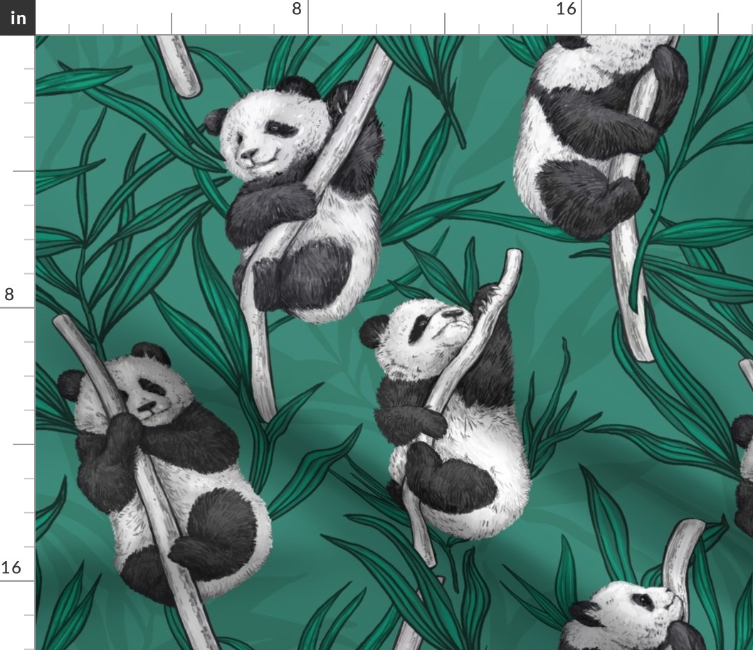 Panda cubs on green