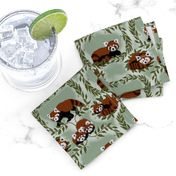 Red Pandas and Leafy Vines on Sage green - SMALL