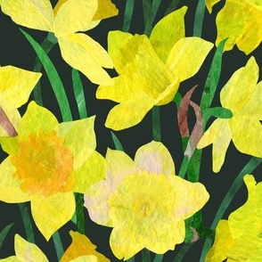 Bright Yellow Daffodil Blooms on Dark Green