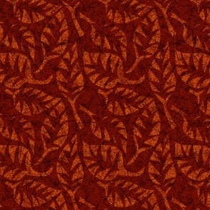 African maroon and orange