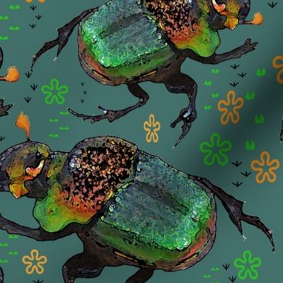 Beetle Beetles (from my photo)