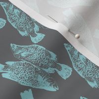 Fish in Dark Grey and Blue