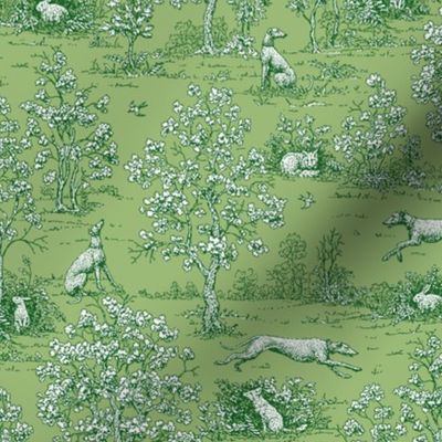 Green on Green Toile with greyhounds - coordinate