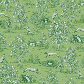 Green on Green Toile with greyhounds - coordinate