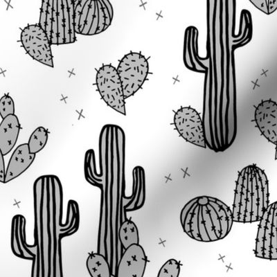 cactus // cacti cactus plants plant life cute plants houseplants tropical southwest