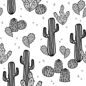 cactus // cacti cactus plants plant life cute plants houseplants tropical southwest