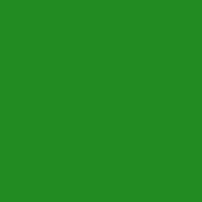 Solid Forest Green - Palette de Provence