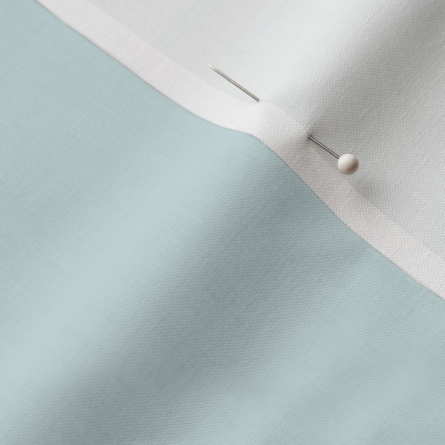 Simple Plain Solid Duck Egg Blue Color