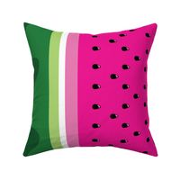 Bright Watermelon border print fabric