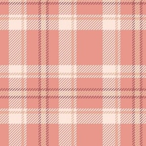 Woven Valentines Pretty in Pink Plaid