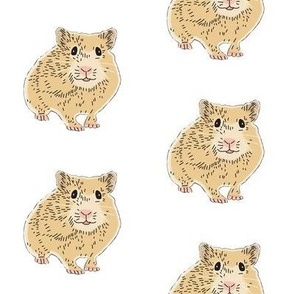 hamsters