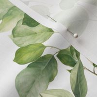 Vintage Leaf Sage Green on White Background Foliage