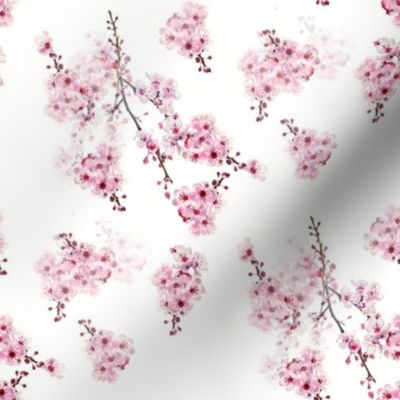 Cherry Blossom Branches