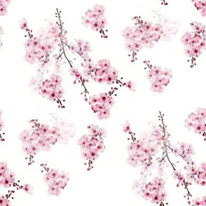 Cherry Blossom Branches