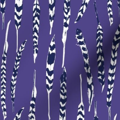 long stripe ikat feathers