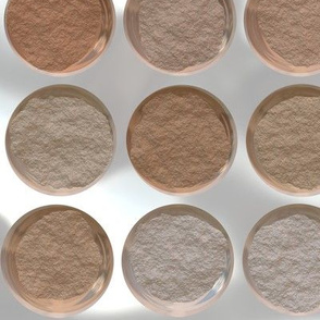 Got Makeup? Powder Palette