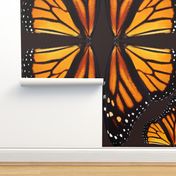 Giant Orange Monarch Butterfly Wings