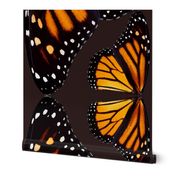 Giant Orange Monarch Butterfly Wings