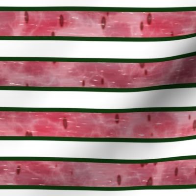 Watermelon Mania - Bordered Stripe