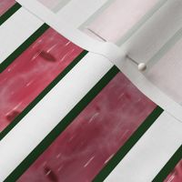 Watermelon Mania - Bordered Stripe