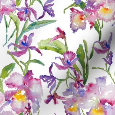 Orchids_Purple