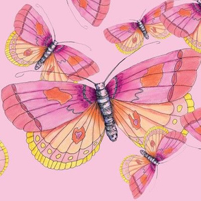 Bubblegum Butterflies