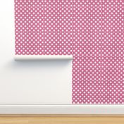 white-polka-dots-on-pink