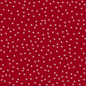 Tiny Prim Stars on Country Red